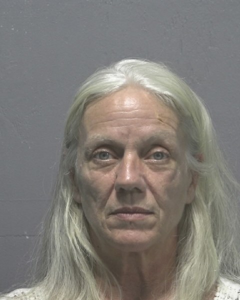 Booking photo of Lori Babich