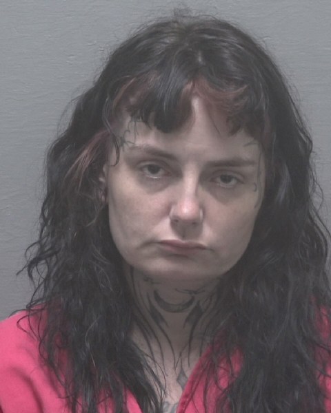 Booking photo of Christina Parrish
