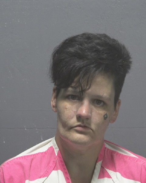 Booking photo of Cari Morehouse