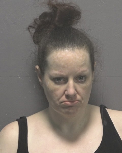 Booking photo of Meagan Oakes