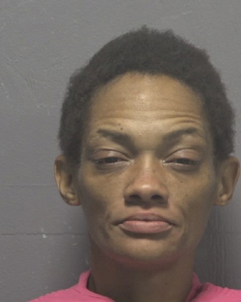 Booking photo of Evelyn Peters