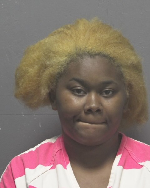Booking photo of Portia Johnson