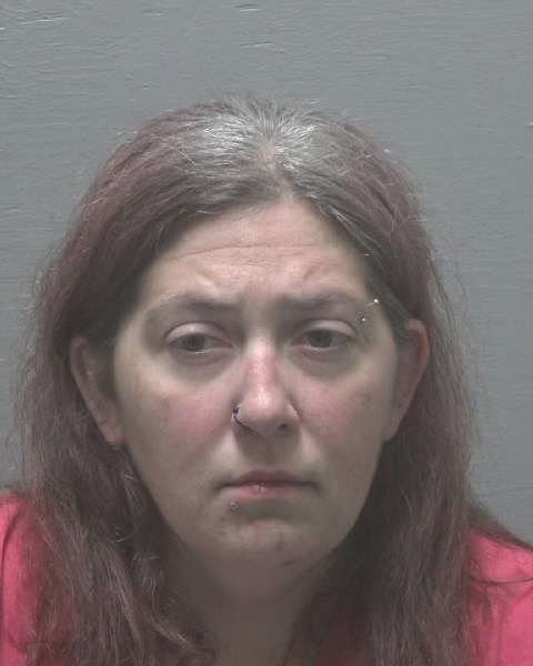 Booking photo of Jessica Robinson
