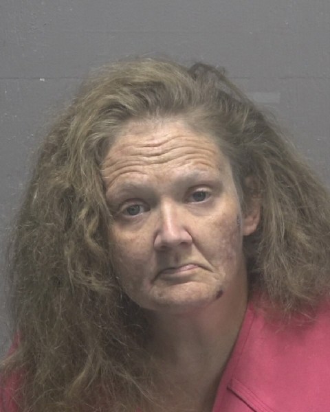 Booking photo of Elizabeth Burnett