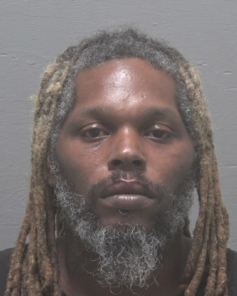 Booking photo of Louis Avery