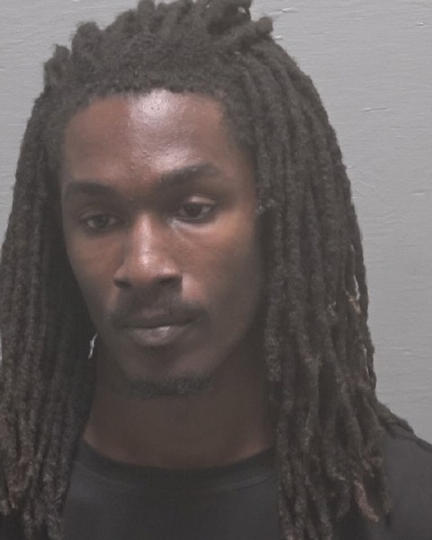 Booking photo of Janai Johnson