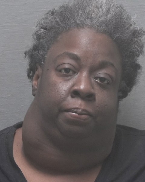 Booking photo of Portia Mason