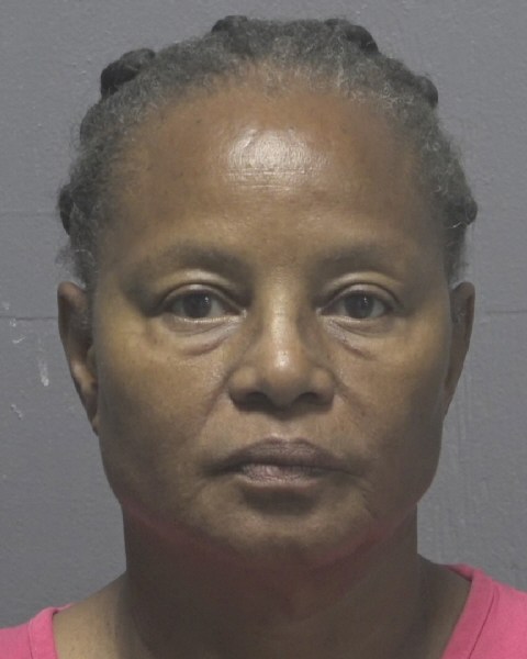 Booking photo of Lesa Swann