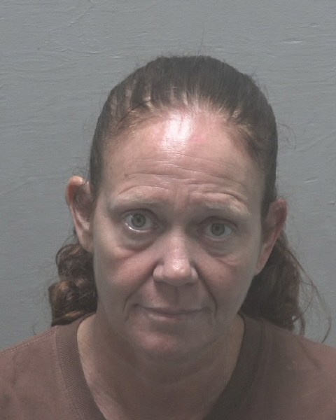 Booking photo of Erica King