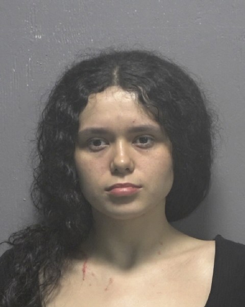 Booking photo of Angelica Nava