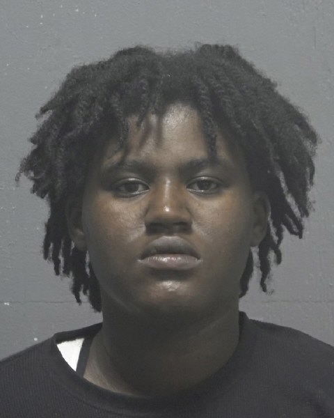 Booking photo of Diamond Holt