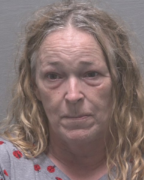 Booking photo of Sandra Boyd