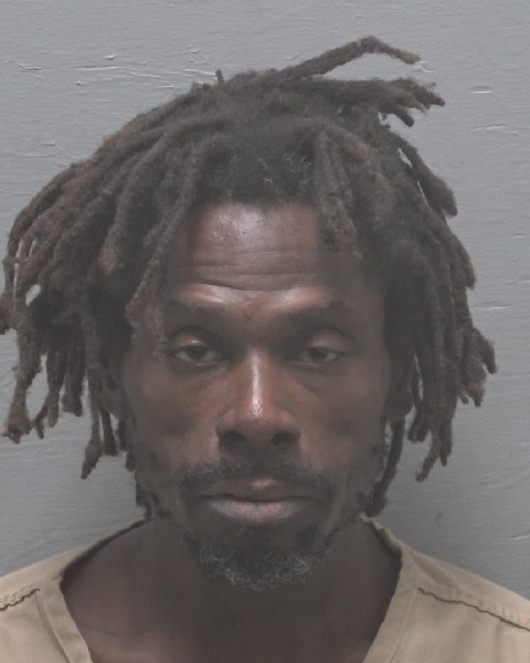 Booking photo of Sharn Watkins