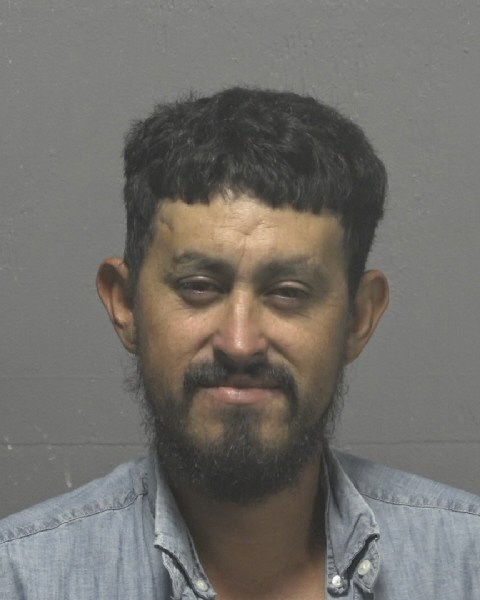 Booking photo of Romula Arria