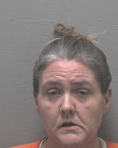 Booking photo of Jessica Dietz