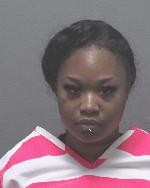 Booking photo of Zoi Baker