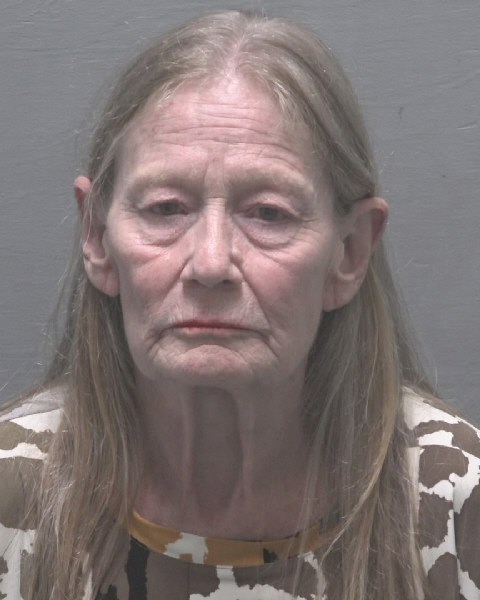 Shelagh Connolly booking photo