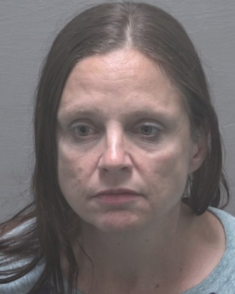 Christina Hinson booking photo