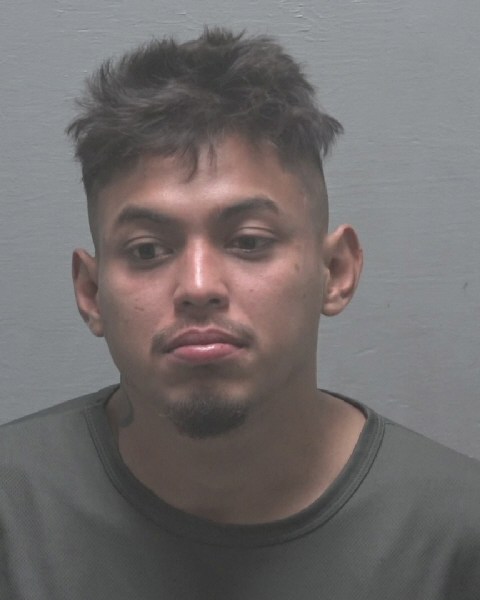 Roni Delcid booking photo