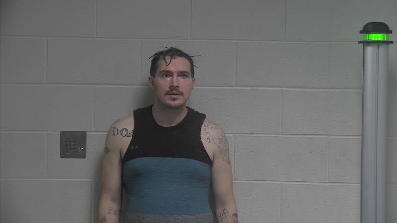 Booking photo of Dillion Haynes