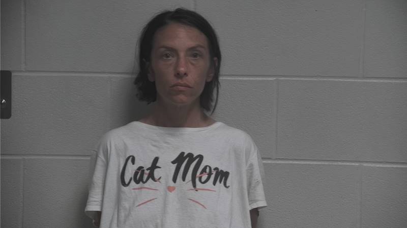 Booking photo of Brittany Allen