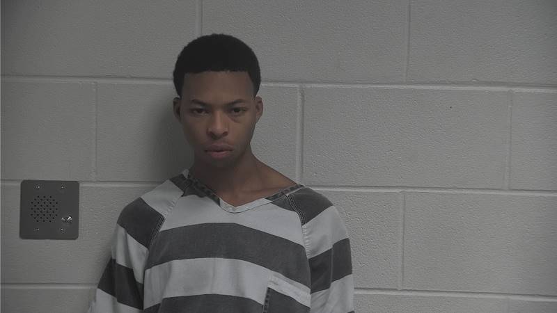 Booking photo of Niszaha Lang