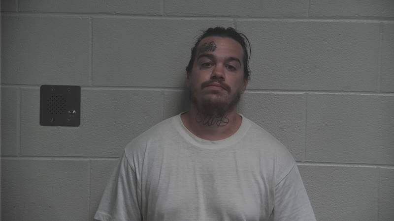 Booking photo of Taylor Henderson
