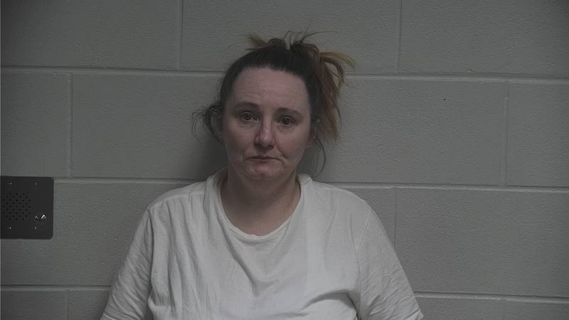 Booking photo of Brittany Lamb