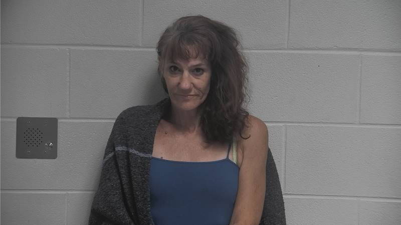 Booking photo of Dana Price Torrey
