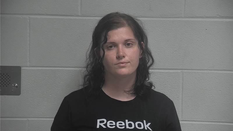 Booking photo of Brittany Ayers