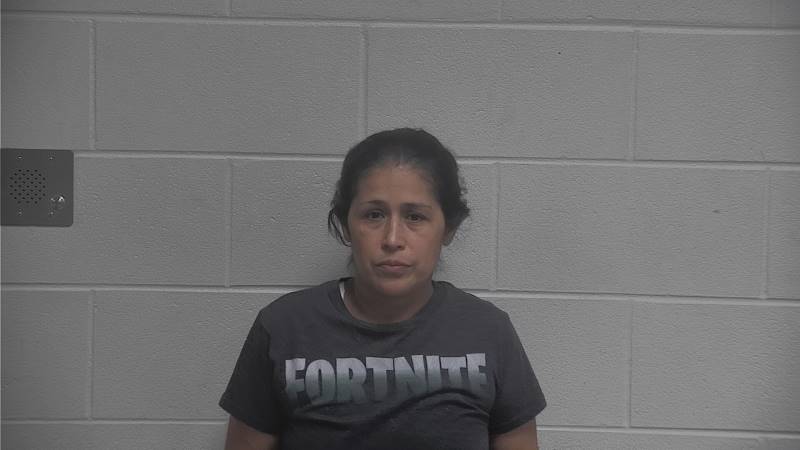 Booking photo of Yolimar Perez De Morillo