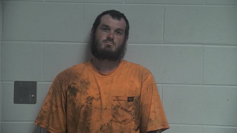 Booking photo of Dasan Walker