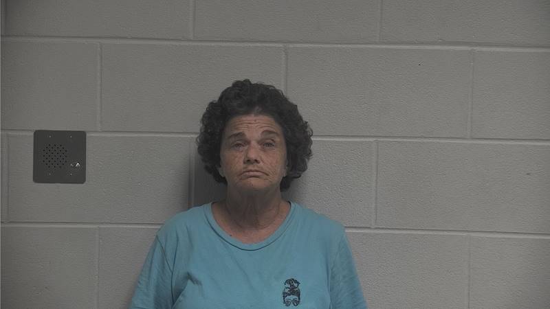 Booking photo of Nina Hunter