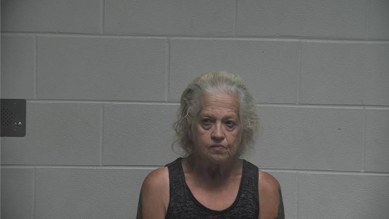 Booking photo of Julie Nalley