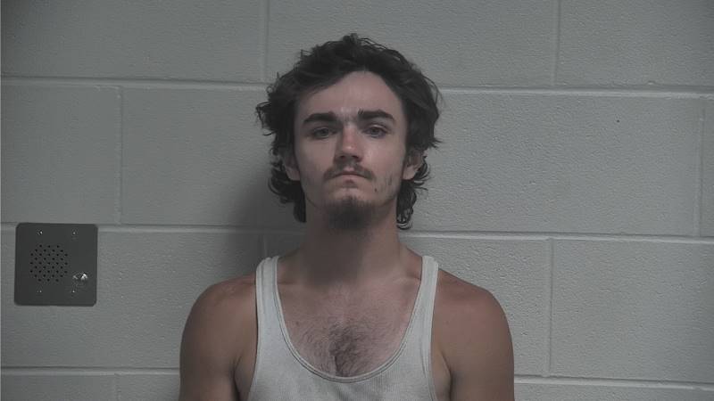 Booking photo of William Mills