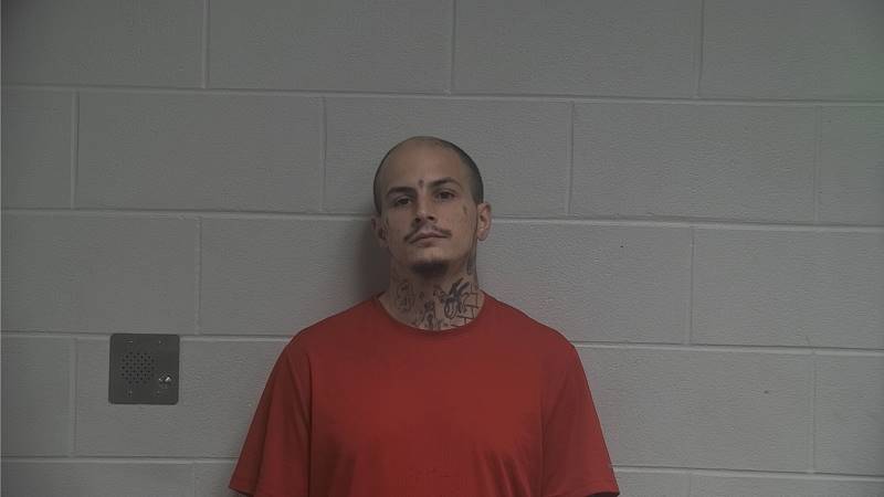 Booking photo of Baylee Reynolds