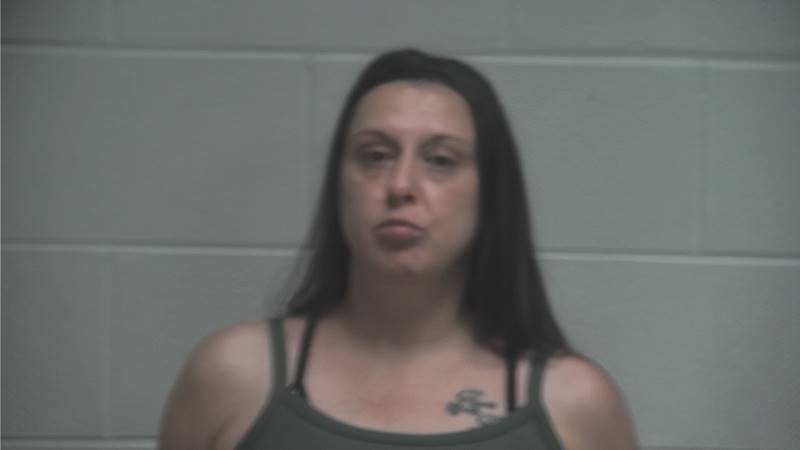 Booking photo of Amanda Phillips