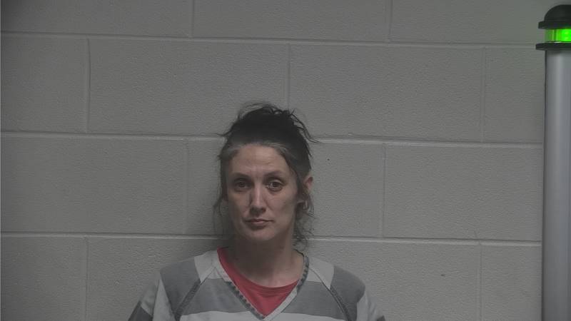 Booking photo of Christina French