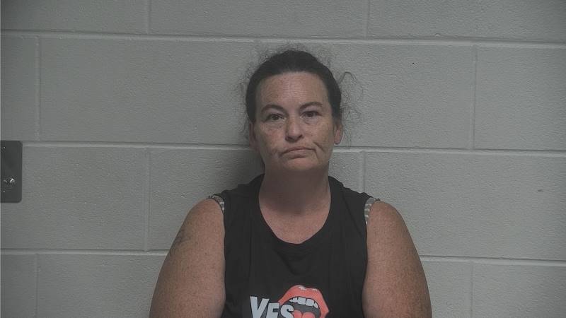 Booking photo of Melissa Fink