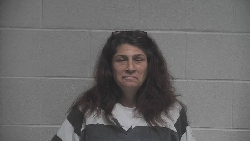 Booking photo of Renee Satterly