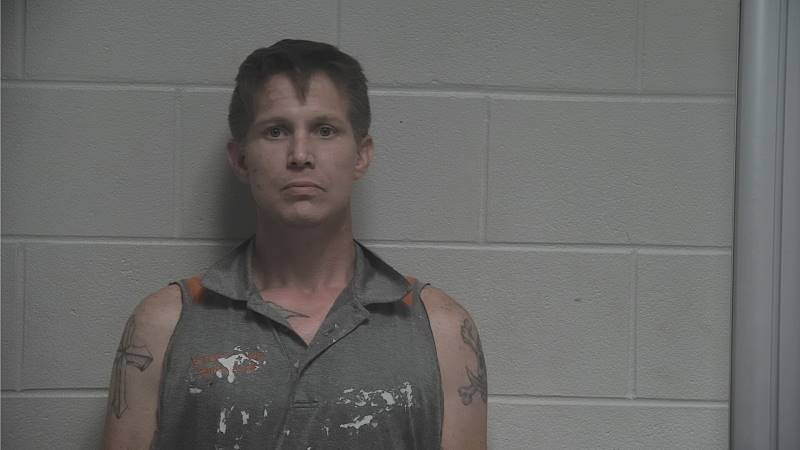 Booking photo of Kodi Mitchell