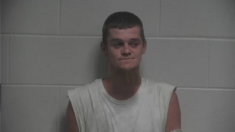 Booking photo of Joshua Brierly
