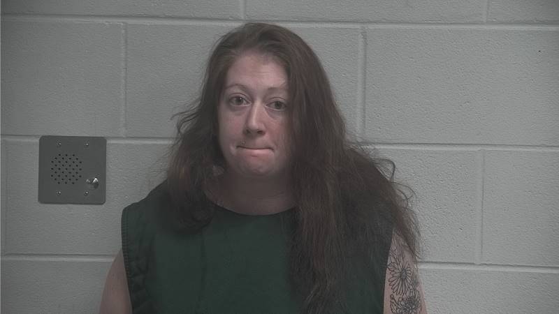 Booking photo of Ashley York