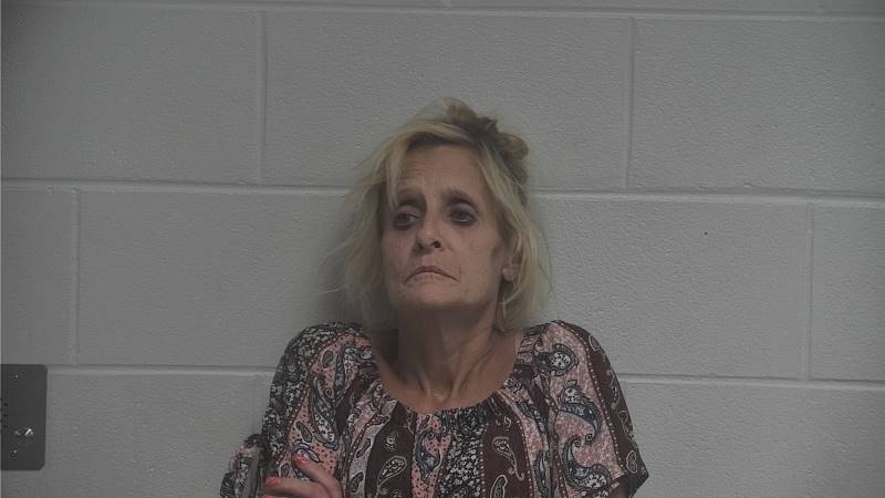 Booking photo of Michelle Gentry