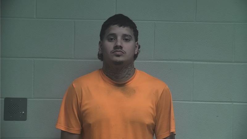Booking photo of Luis Flores