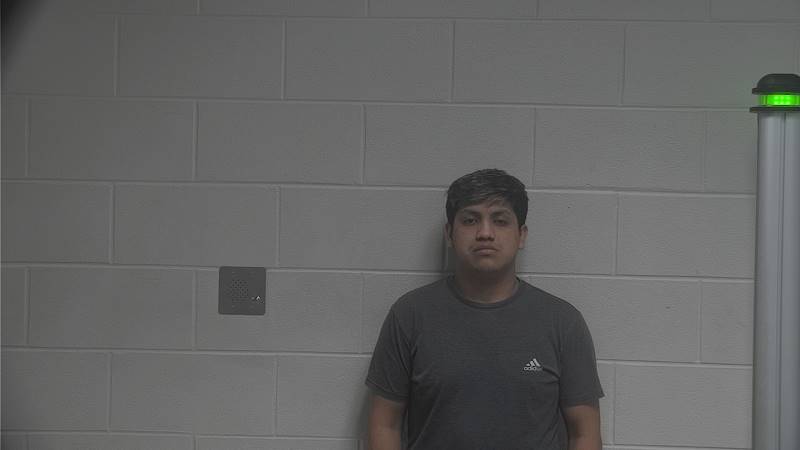 Booking photo of Frisly Castro-lopez