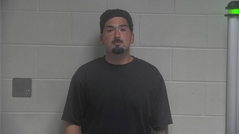 Booking photo of Lucas Dias Sao Bento