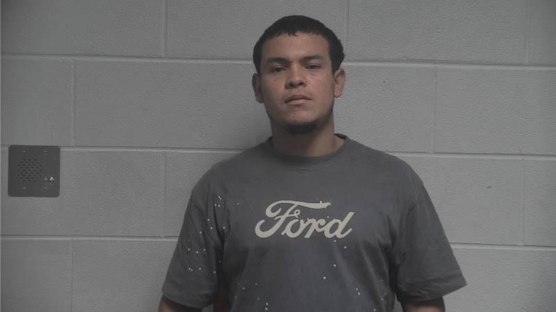 Booking photo of Vairon Zelaya