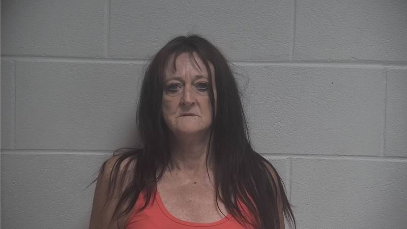 Booking photo of Elizabeth Phillips