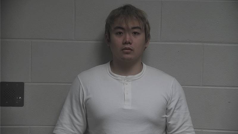 Booking photo of Yu Yin